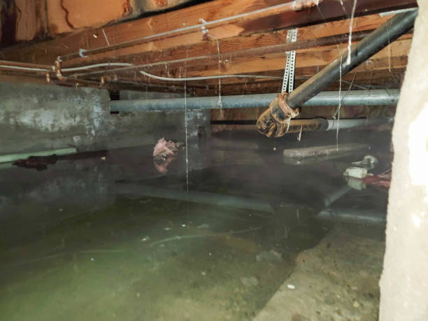 Best Local water damage restoration  in Junction City, KS