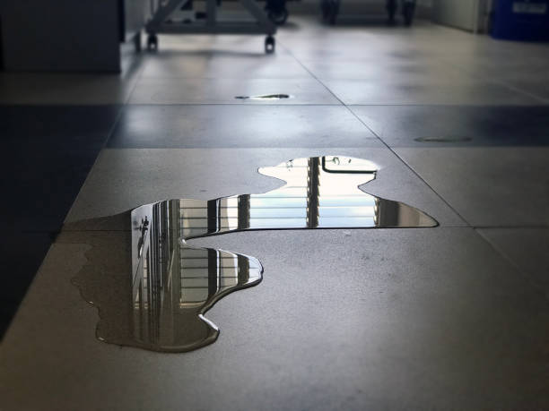 Best Professional water damage repair  in Junction City, KS