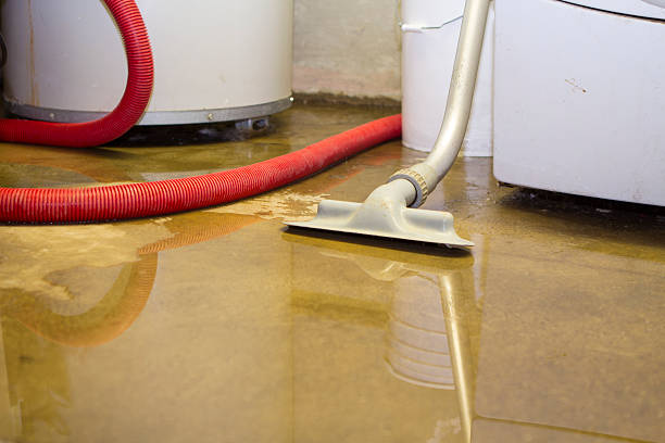 Best Water damage restoration company  in Junction City, KS
