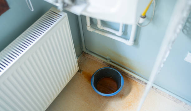 Best Mold removal after water damage  in Junction City, KS