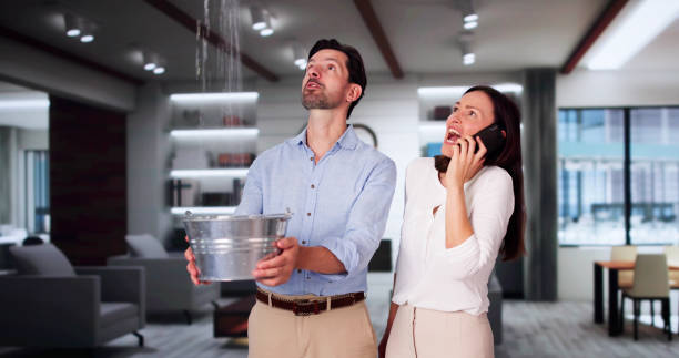 Best Water damage cleanup near me  in Junction City, KS