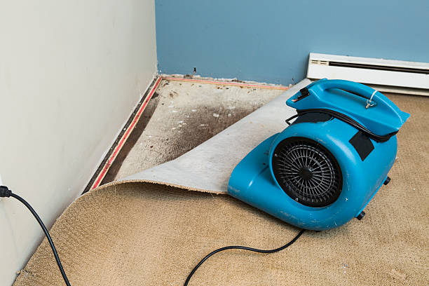 Best Water damage mitigation services  in Junction City, KS